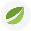 Bitfinex logo